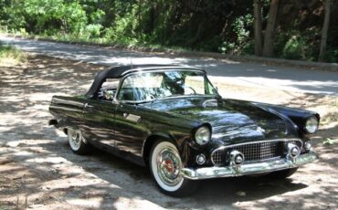 Ford-Thunderbird-1955-Convertible-22