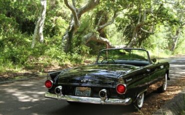 Ford-Thunderbird-1955-Convertible-23