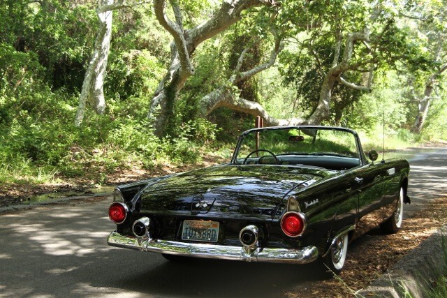 Ford-Thunderbird-1955-Convertible-23