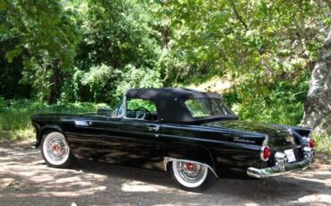 Ford-Thunderbird-1955-Convertible-24