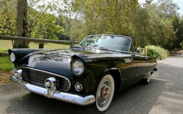 Ford-Thunderbird-1955-Convertible-26