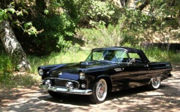 Ford-Thunderbird-1955-Convertible-27