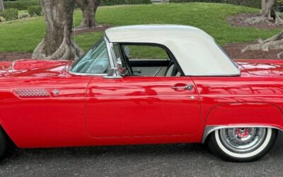 Ford Thunderbird 1955 Convertible
