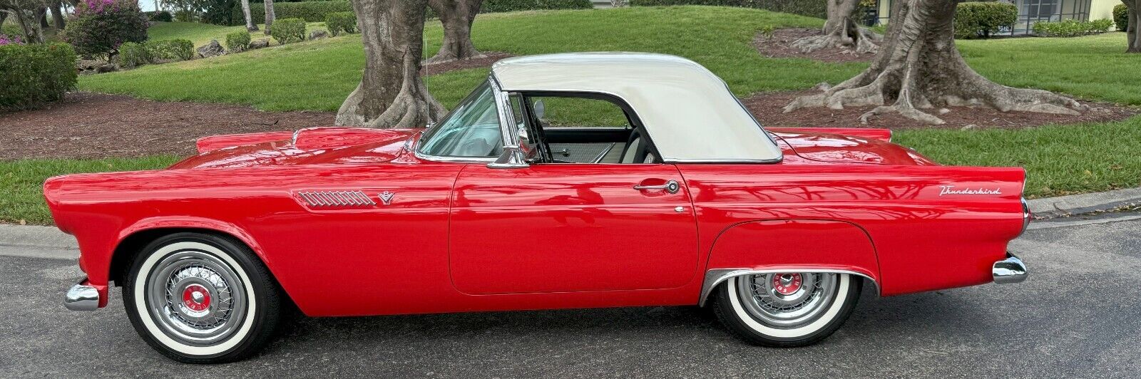 Ford-Thunderbird-1955-Convertible