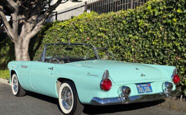 Ford-Thunderbird-1955-Convertible-3