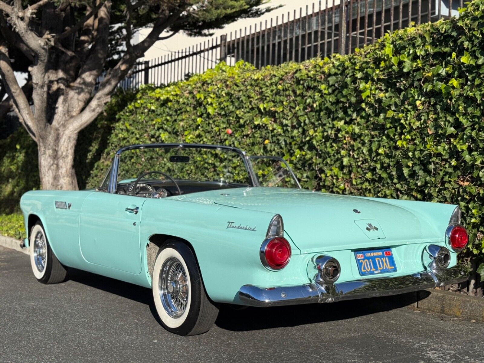 Ford-Thunderbird-1955-Convertible-3