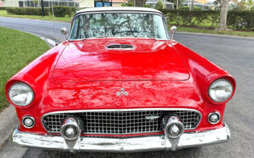 Ford-Thunderbird-1955-Convertible-3