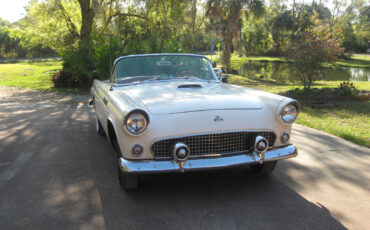 Ford-Thunderbird-1955-Convertible-4