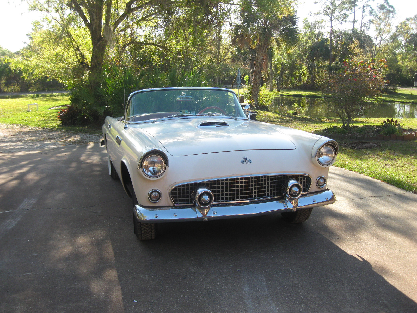 Ford-Thunderbird-1955-Convertible-4