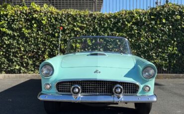 Ford-Thunderbird-1955-Convertible-4