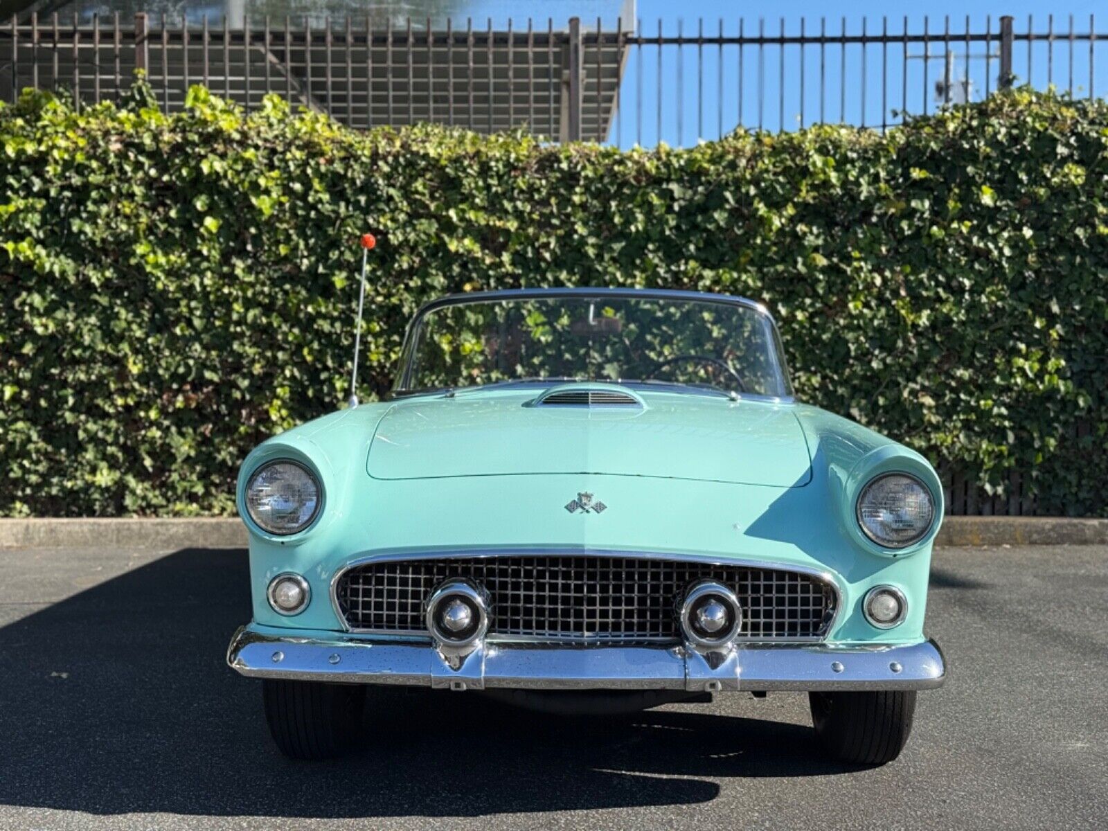 Ford-Thunderbird-1955-Convertible-4