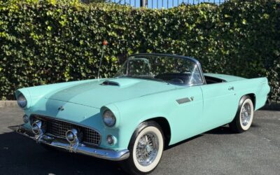 Ford Thunderbird 1955