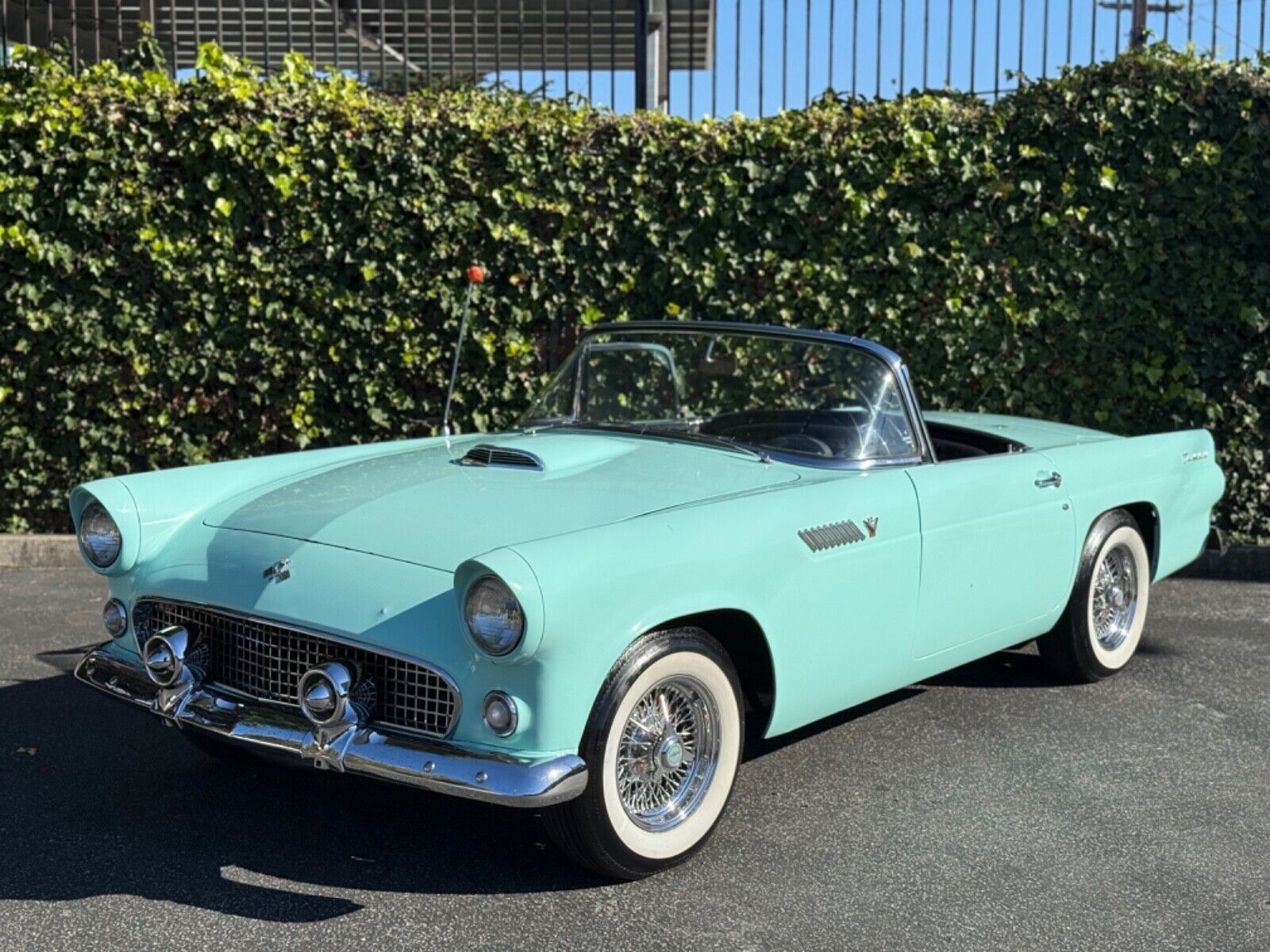 Ford Thunderbird 1955 Convertible
