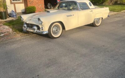 Ford Thunderbird 1955 Convertible