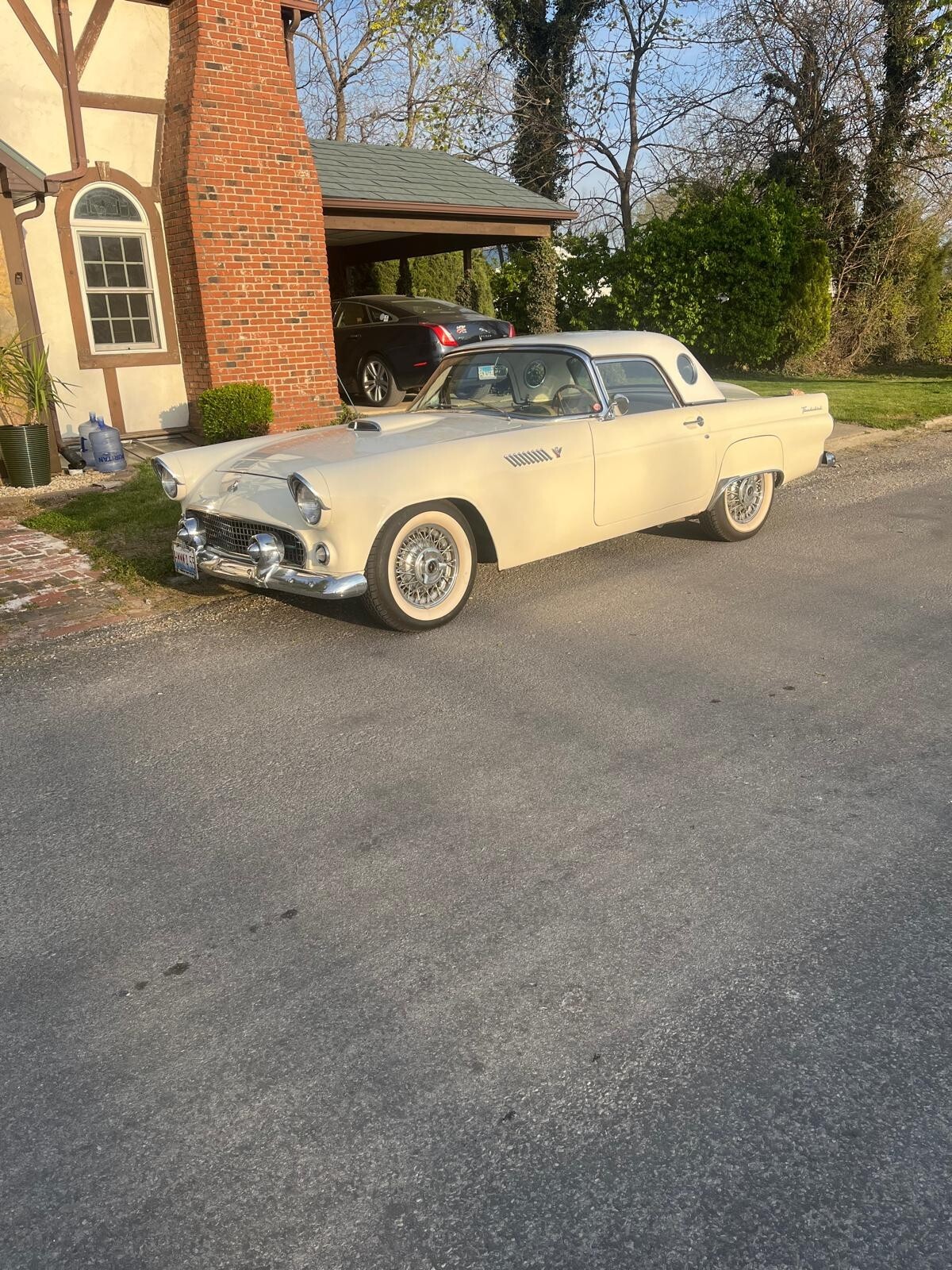 Ford Thunderbird 1955 Convertible