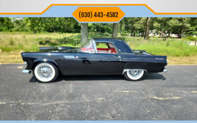 Ford Thunderbird 1955 Convertible