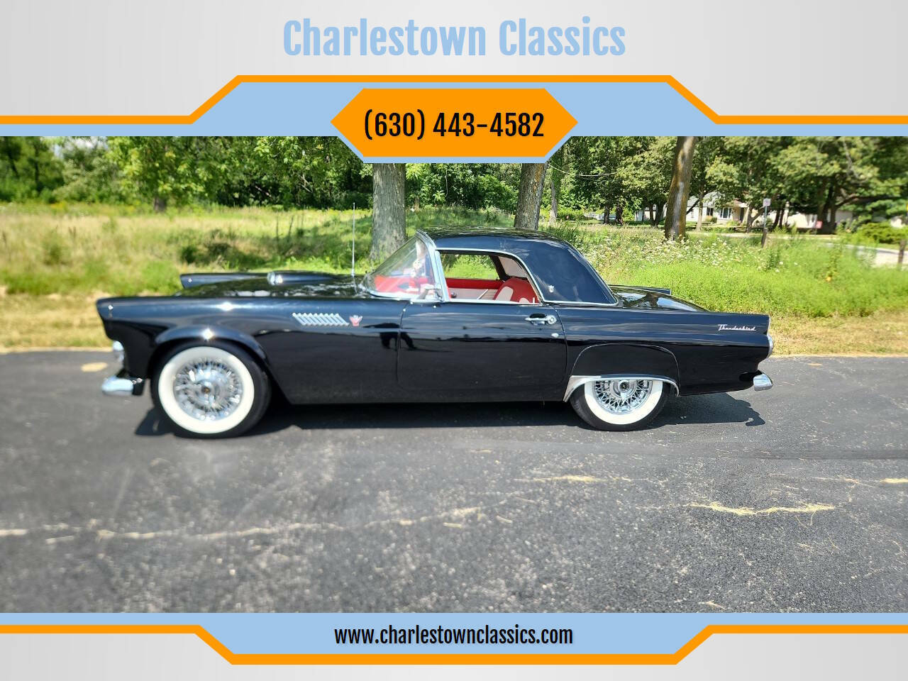Ford Thunderbird 1955 Convertible