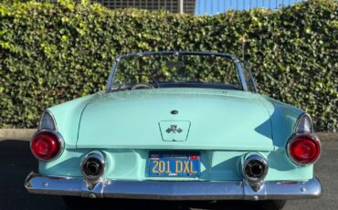 Ford-Thunderbird-1955-Convertible-5