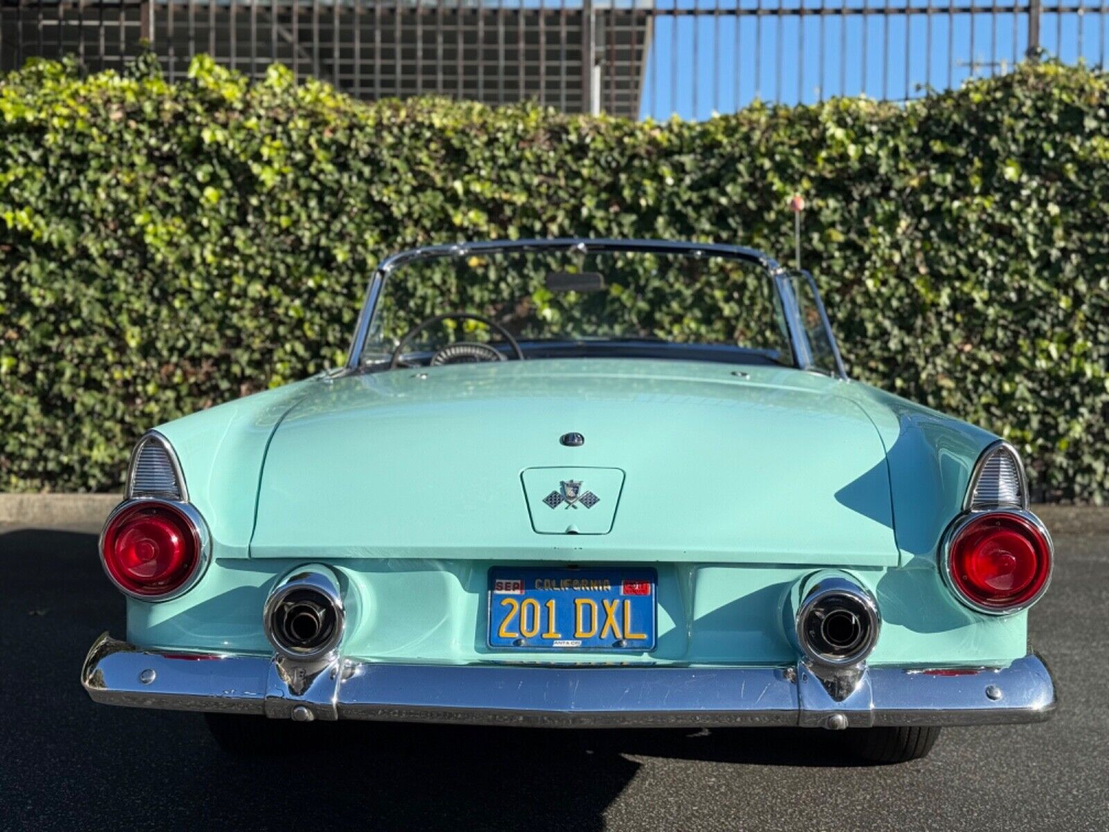 Ford-Thunderbird-1955-Convertible-5