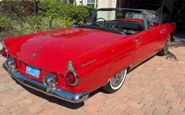 Ford-Thunderbird-1955-Convertible-5