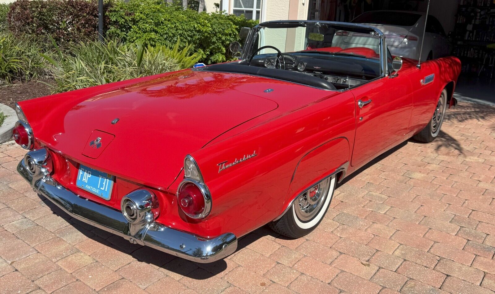 Ford-Thunderbird-1955-Convertible-5