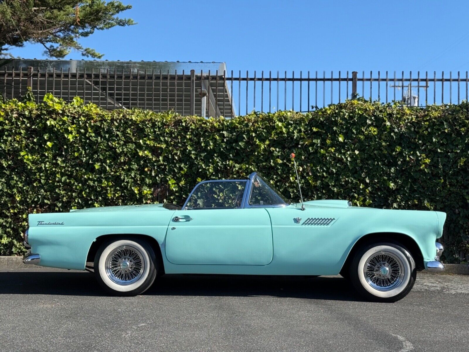 Ford-Thunderbird-1955-Convertible-6