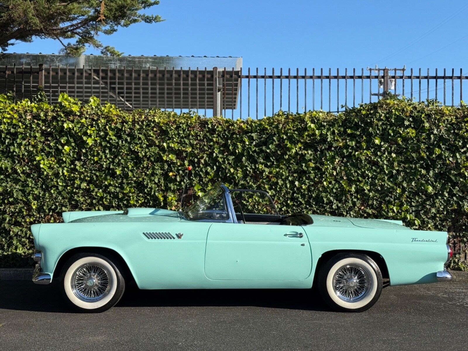 Ford-Thunderbird-1955-Convertible-7