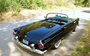 Ford-Thunderbird-1955-Convertible-7