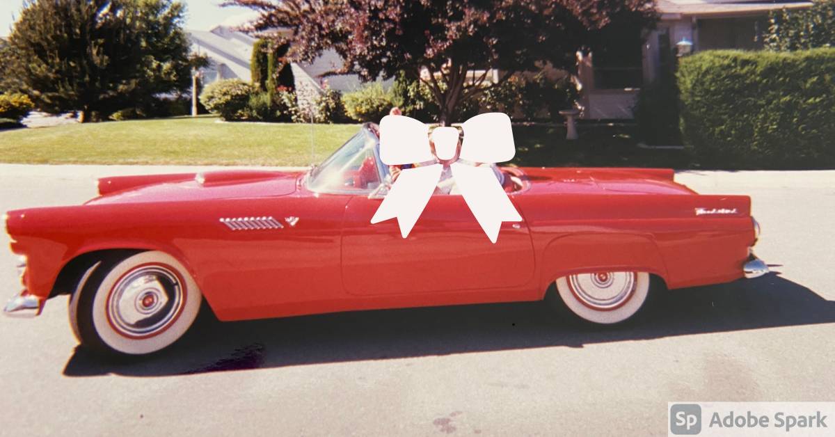 Ford Thunderbird  1955 red