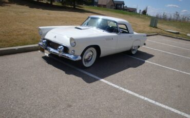 Ford-Thunderbird-1955-white-1