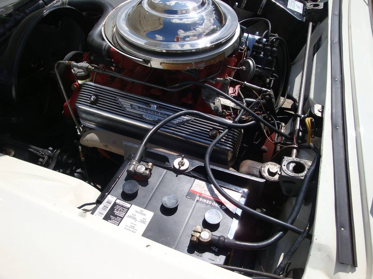 Ford-Thunderbird-1955-white-10