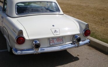 Ford-Thunderbird-1955-white-2