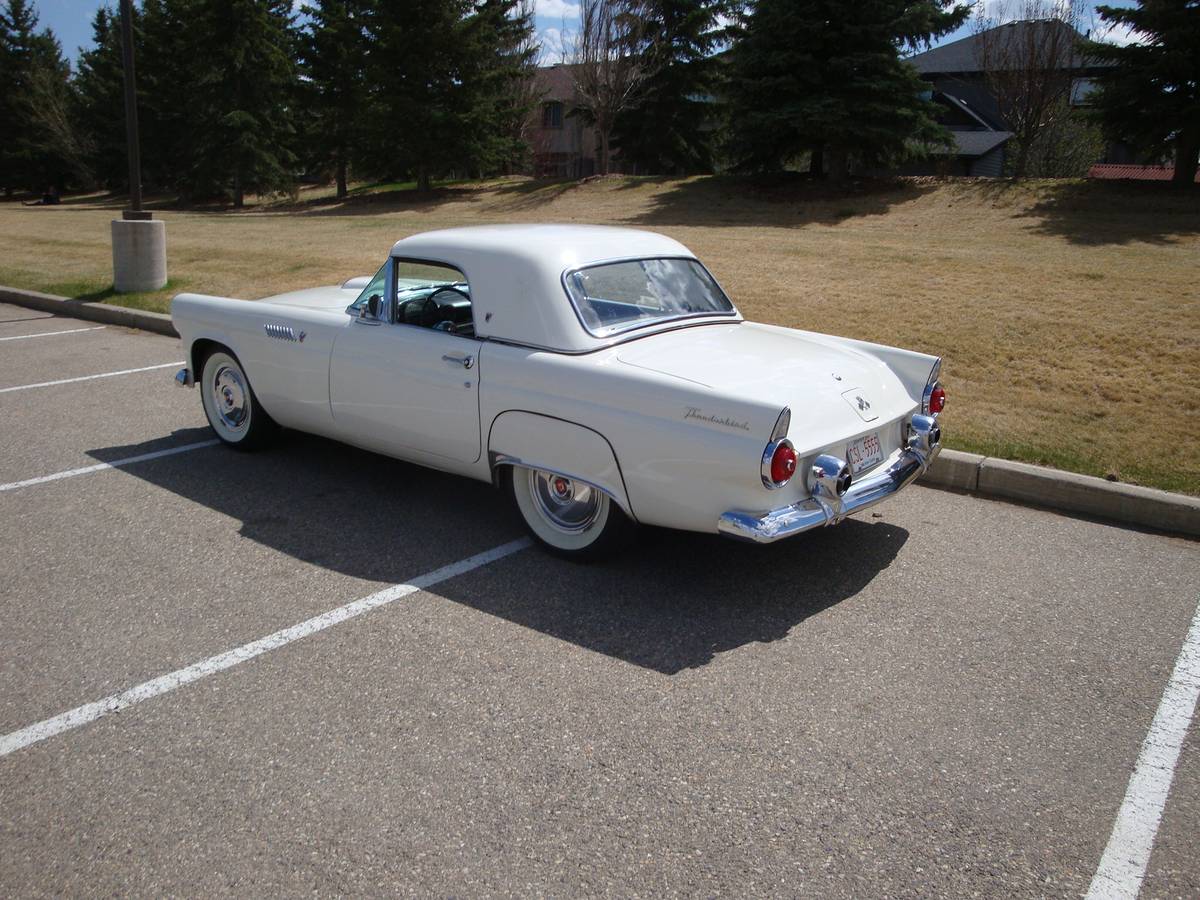 Ford-Thunderbird-1955-white
