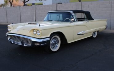 Ford-Thunderbird-1959-Convertible-11