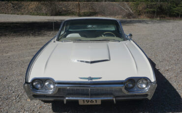 Ford-Thunderbird-1961-Coupe-5