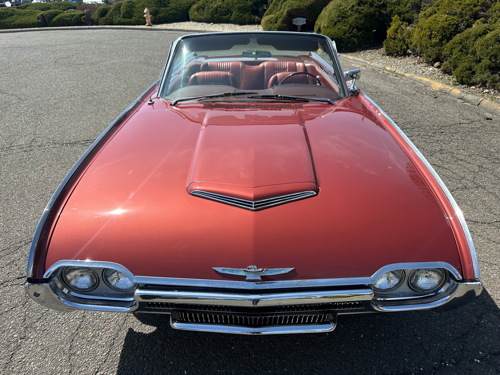 Ford-Thunderbird-1963-CONVERTIBLE-5