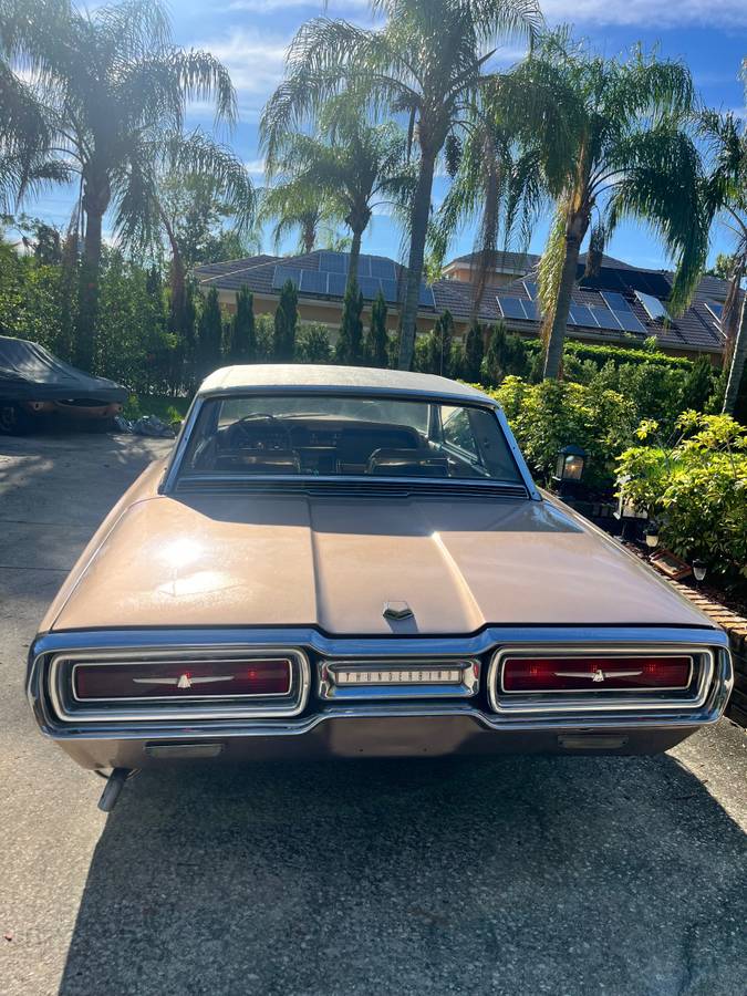 Ford-Thunderbird-1964-11