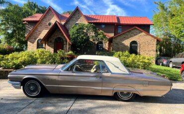 Ford-Thunderbird-1964-13