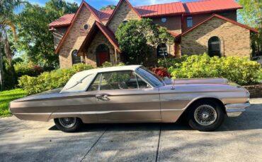 Ford-Thunderbird-1964-8
