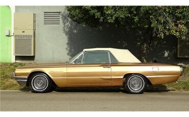 Ford-Thunderbird-1964-Convertible-1