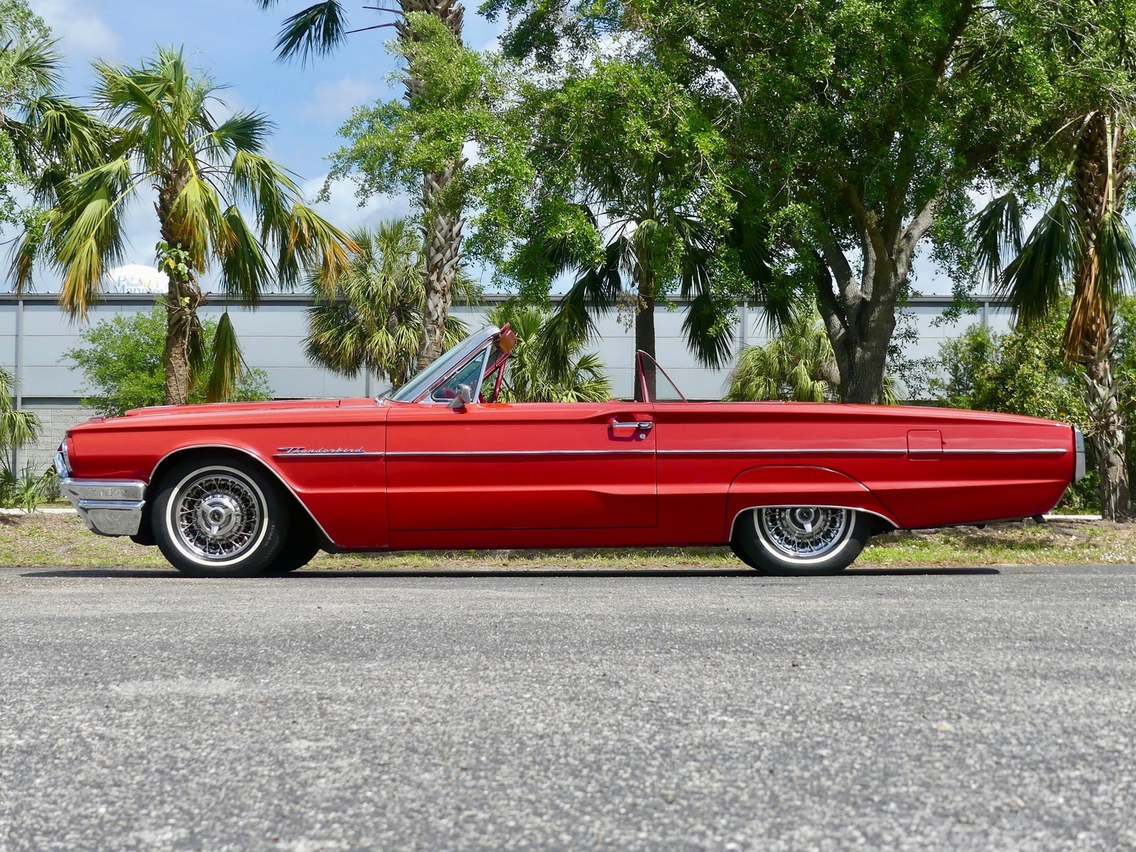 Ford-Thunderbird-1964-Convertible-11