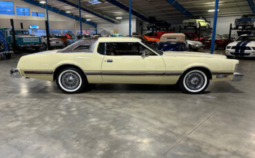Ford-Thunderbird-1976-Other-1
