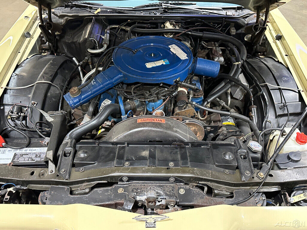 Ford-Thunderbird-1976-Other-10