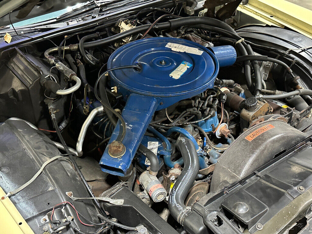 Ford-Thunderbird-1976-Other-11
