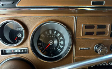 Ford-Thunderbird-1976-Other-15