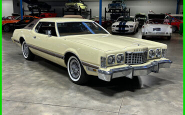 Ford-Thunderbird-1976-Other