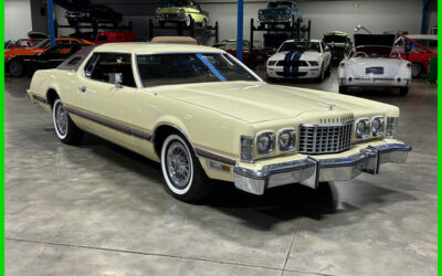 Ford Thunderbird 1976 Other