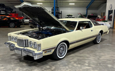 Ford-Thunderbird-1976-Other-8