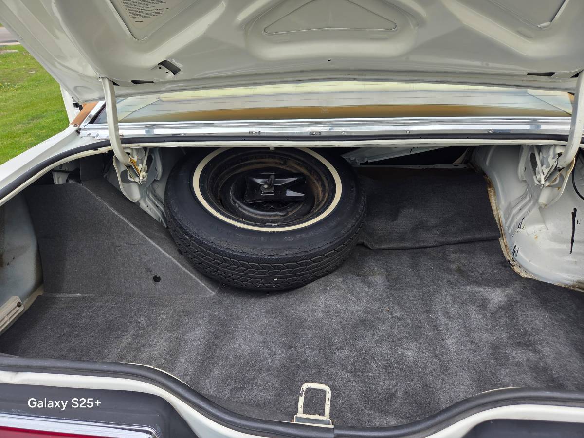 Ford-Thunderbird-1979-white-12