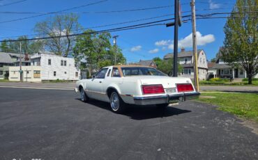 Ford-Thunderbird-1979-white-3